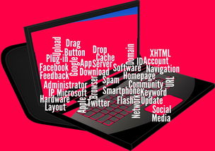 CBA开展球员社交媒体管理课程提高职业素养，运动员社交媒体